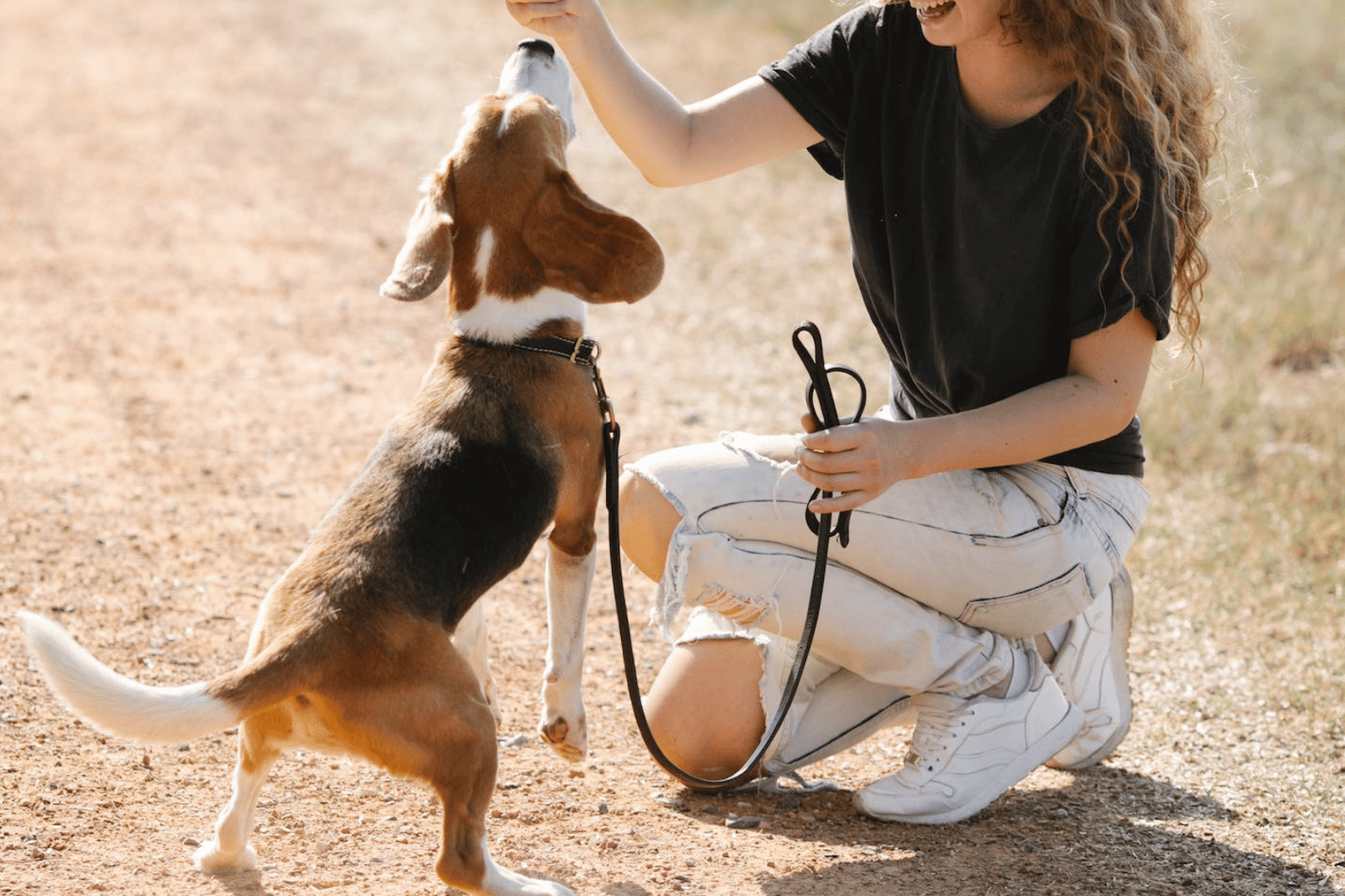 The 6 Best Dog Treat Pouches