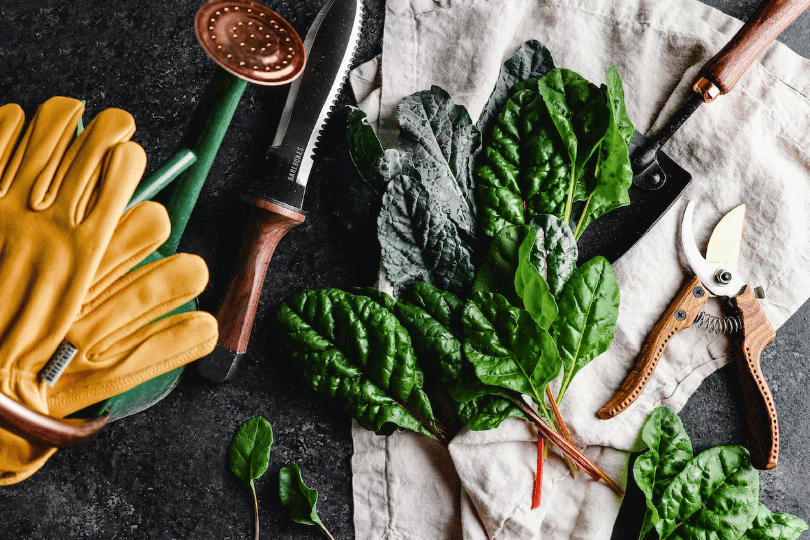 The 5 Best Gardening Tools