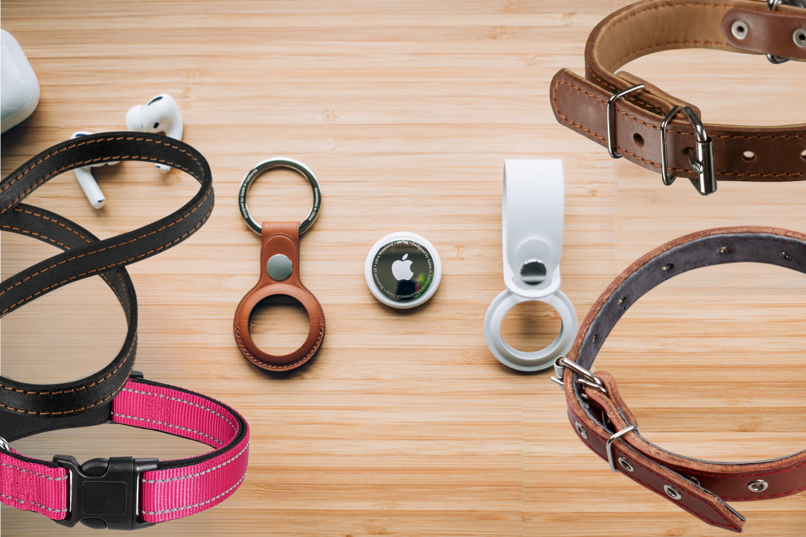 Best Airtag Dog Collar Holder