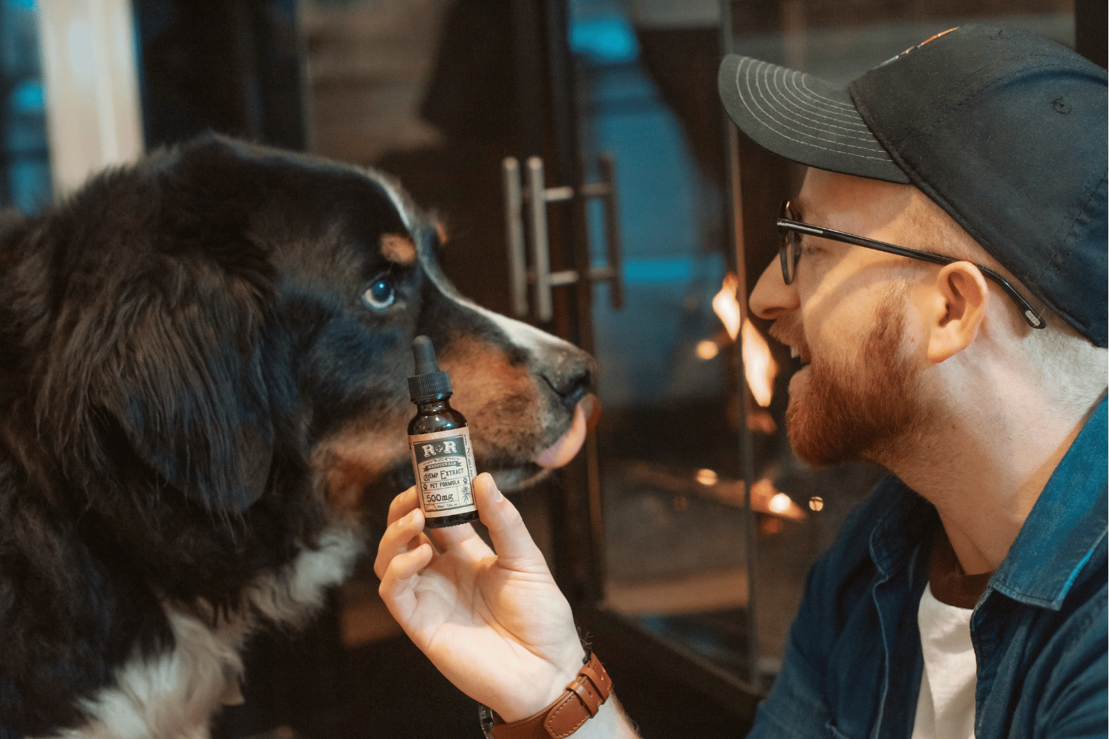 The Best Biotin Supplements for Dogs