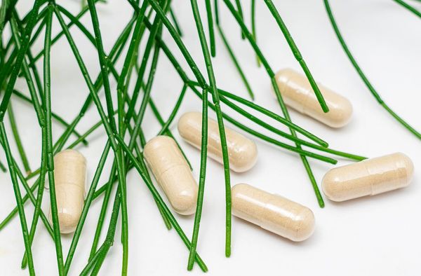 Nourish Your Beauty: The 6 Best Vegan Collagen Boosters For Healthier Skin And Hair