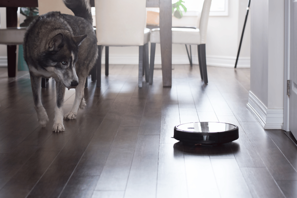 The 5 Best Vacuums for Your Husky: Say Goodbye to Fluffy Tumbleweeds!